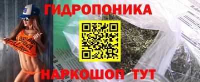 прущие крисы Аргун