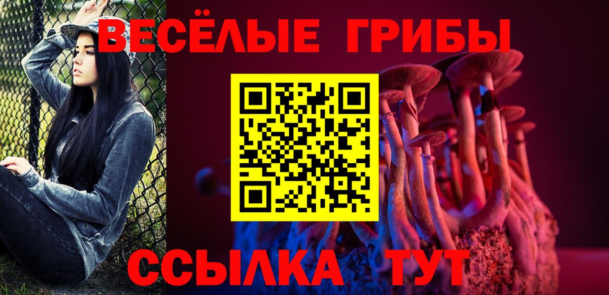 Богородицк  как найти   Вход с VPN  Псилоцибиновые грибы Cubensis  Псилоцибиновые грибы Psilocybe 